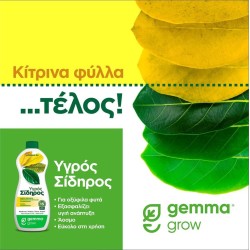 Υγρός Σίδηρος 300 ml Gemma-MaShop.gr