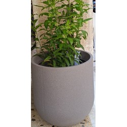 Πλαστική Γλάστρα Εξωτερικού Χώρου Rustic Cask (105lt)-MaShop.gr