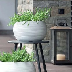 Κασπώ Στρόγγυλο 8lt - Ø37,8x23Ycm PROSPERPLAST Furu Bowl DBFUK400 -MaShop.gr