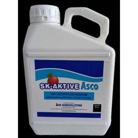 SK AKTIVE ASCO-MaShop.gr