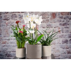 Κασπώ Κεραμικό- (Λάβα) Oslonka Pilar Lava 14cm-MaShop.gr