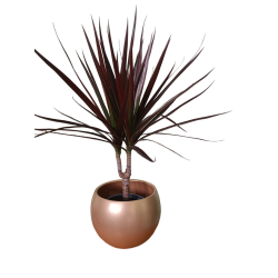 Κασπώ Κεραμικό Σφαιρικό Γυαλιστερό 16,8cm-MaShop.gr