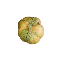 Κεραμικό Διακοσμητικό Κολοκύθα Μικρή 15,50cm x 17,50cm -MaShop.gr