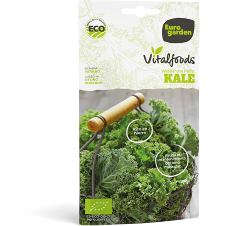 Σαλάτα KALE (3gr σπόροι)- Vitalfoods.-MaShop.gr