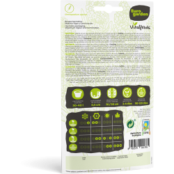 ΚΙΝΟΑ (10 gr σπόροι)- Vitalfoods-MaShop.gr