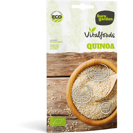 ΚΙΝΟΑ (10 gr σπόροι)- Vitalfoods-MaShop.gr