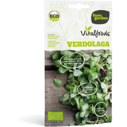 Γλιστρίδα (6 gr σπόροι)- Vitalfoods-MaShop.gr