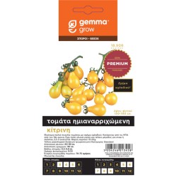 Τομάτα Κίτρινη Ημιαναρ/μενη-MaShop.gr