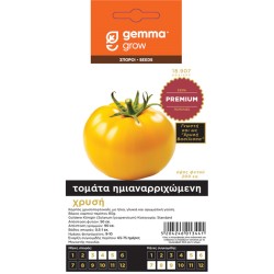 Τομάτα Χρυσή Ημιαναρ/μενη φάκελος σπόρων PREMIUM-MaShop.gr