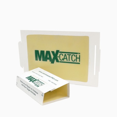 Παγίδα Με Κόλλα Για Ποντίκια 72MAX  Max-Catch-MaShop.gr