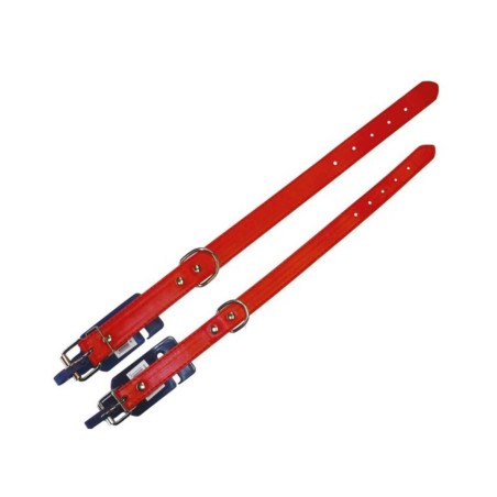 Κολάρο Σκύλου Δερμάτινο Κόκκινο Inter 20mm x 40cm-MaShop.gr