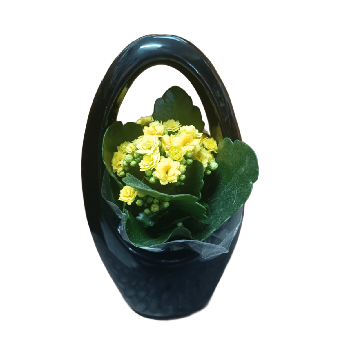 Κασπώ Κεραμικό "Καλάθι"14 x25 cm-MaShop.gr