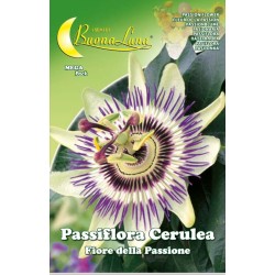 Πασσιφλόρα Σε Σπόρους-MaShop.gr