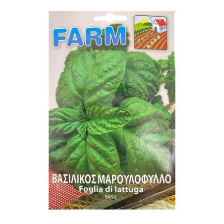 Βασιλικός Μαρουλόφυλλο Σε Φάκελο Ερασιτεχνικό- MaShop.gr