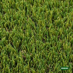 Χλοοτάπητας Πλαστικός GRASHER 30mm 2x10m-MaShop.gr