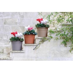 Πλαστική γλάστρα Diana Icil  εξωτερικού χώρου τερακότα