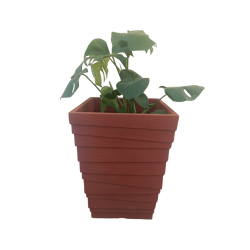 Γλάστρα Τετράγωνη Italian Quadratto Terracotta JVIQ48 Ανάγλυφη-MaShop.gr