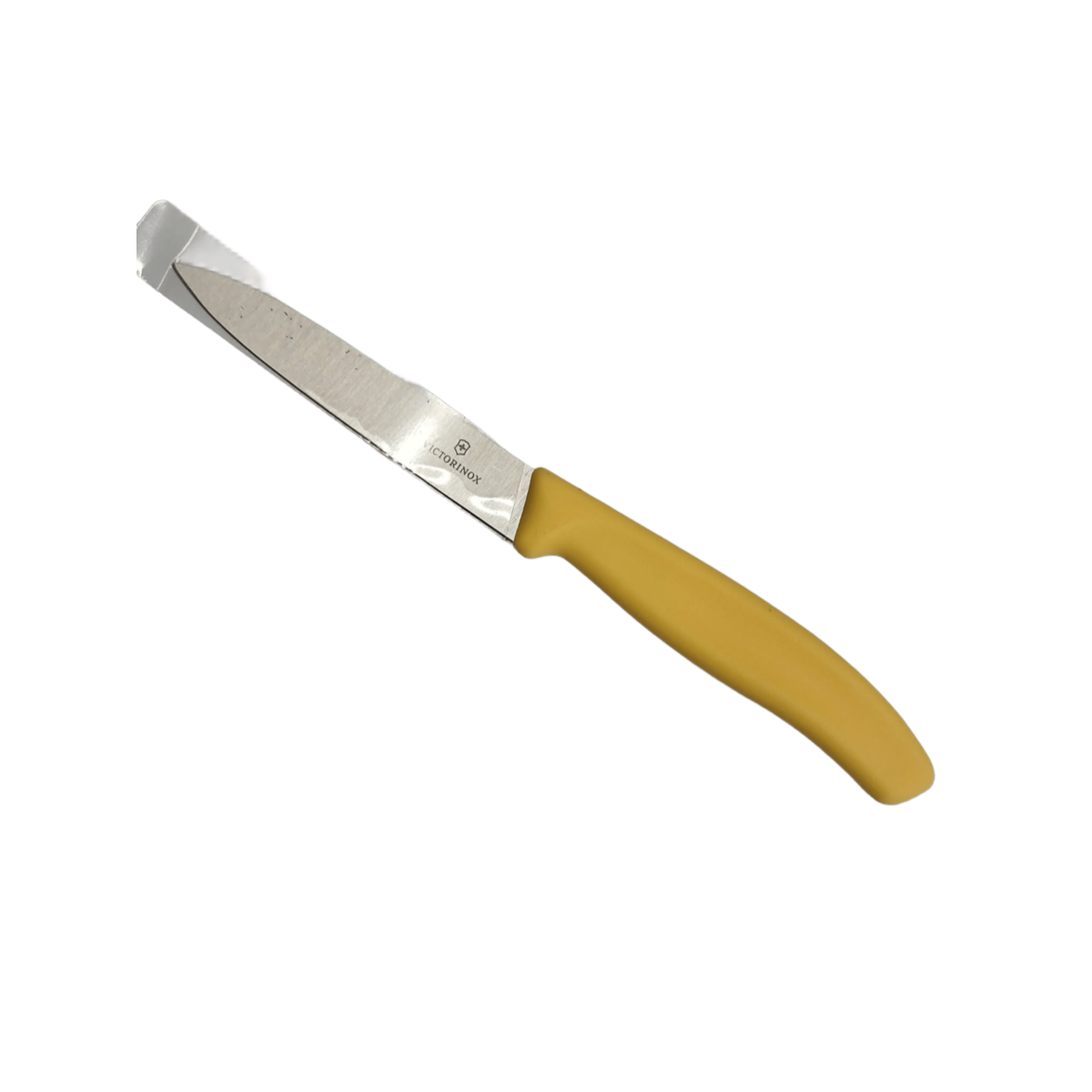 Μαχαίρι Ξεφλουδίσματος Ίσια Λεπίδα 10cm-MaShop.gr