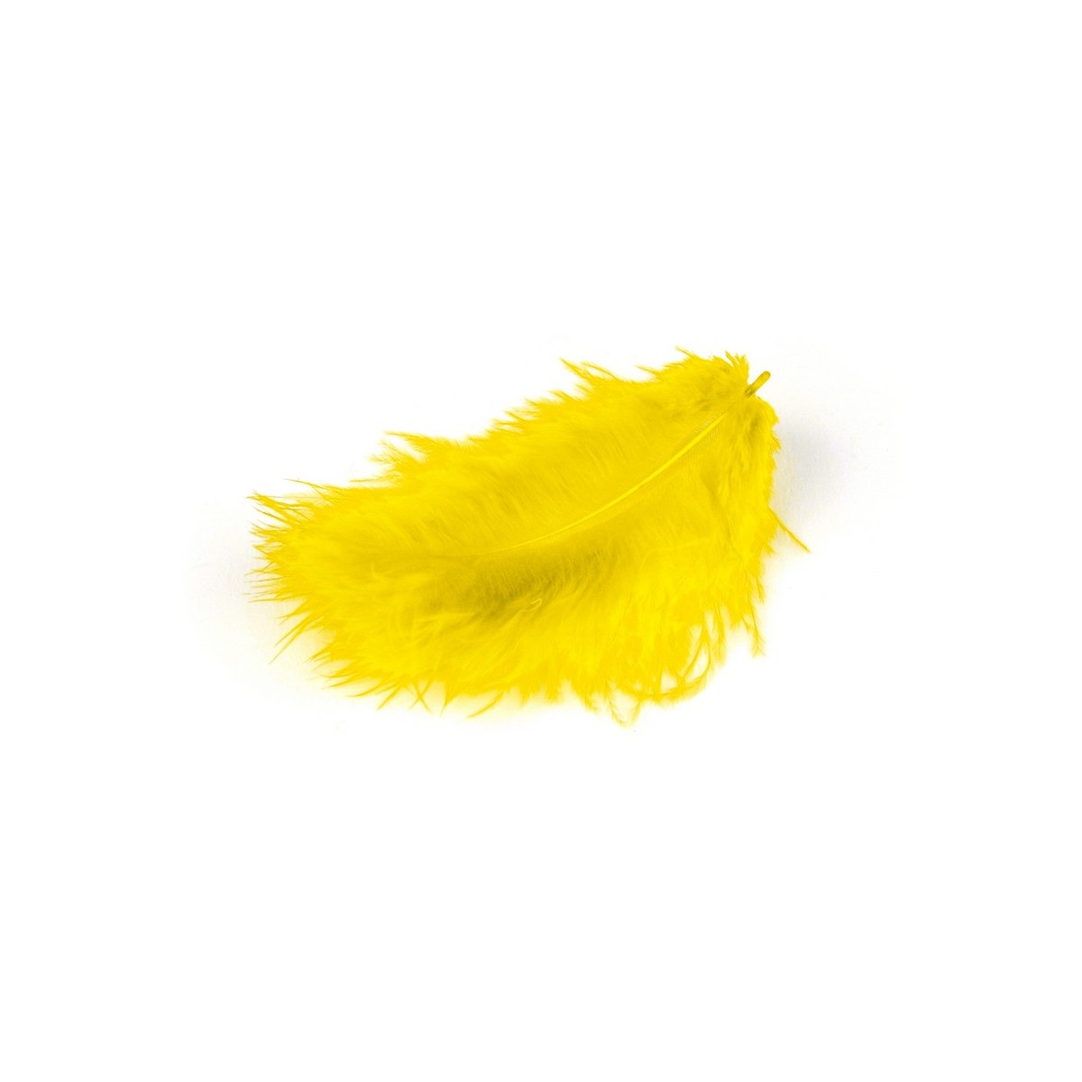 Διακοσμητικά Φτερά κίτρινα -MaShop.gr