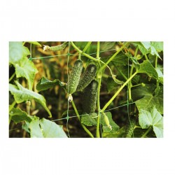 Δίχτυ Αναρριχώμενων Φυτών Bradas -MaShop.gr