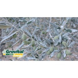 Gravital Φυσικός Βιοδιεγέρτης Πυριτίου 9kg-MaShop.gr