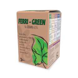 Ferri-Green Ιχνοστοιχεία Σε Στέρεα Μορφή-MaShop.gr