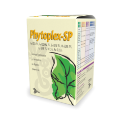 Phytoplex SP Ιχνοστοιχεία Σε Στέρεα Μορφή -MaShop.gr