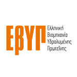 EVYP E.E.