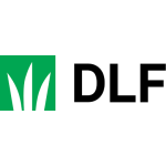 DLF